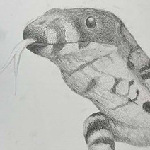 Rhett Aberg - Community Volunteer (COV-19) - Allied Auto Works - image #10